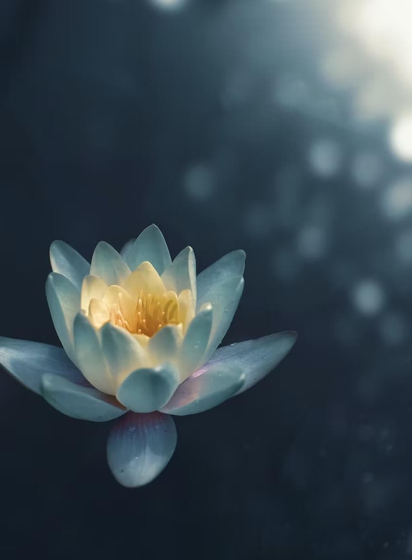 Reiki à distance